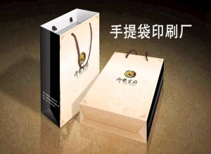 今年两会上印刷厂巨头的建议